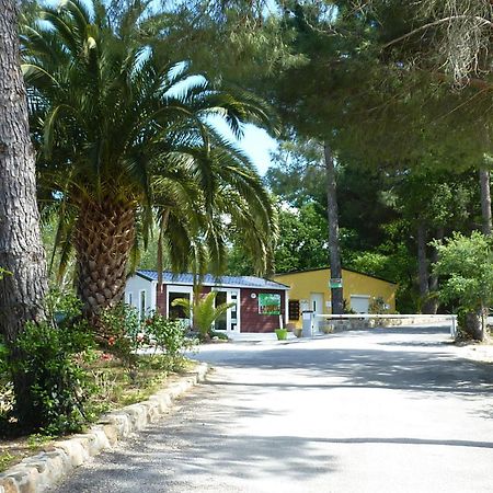 Camping Des Alberes Laroque-des-Albères Екстериор снимка