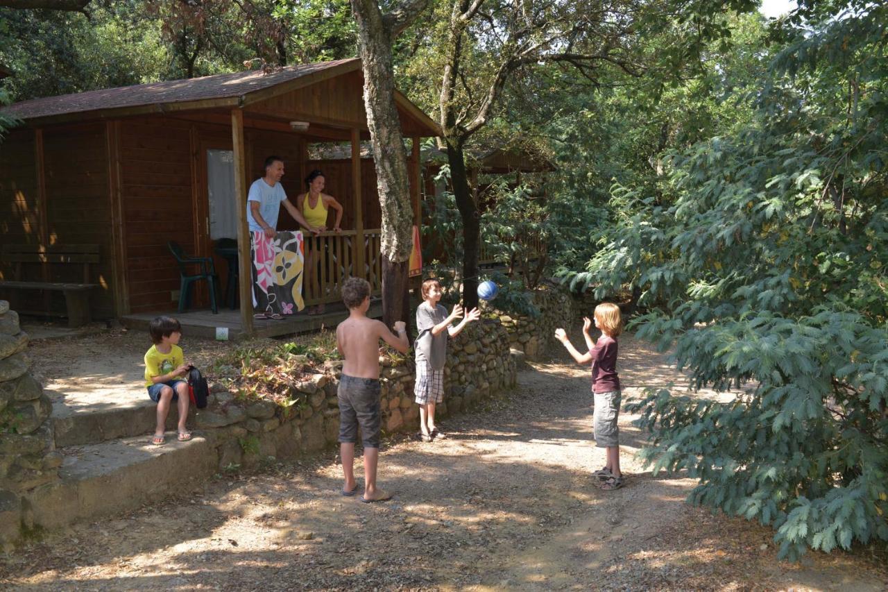 Camping Des Alberes Laroque-des-Albères Екстериор снимка