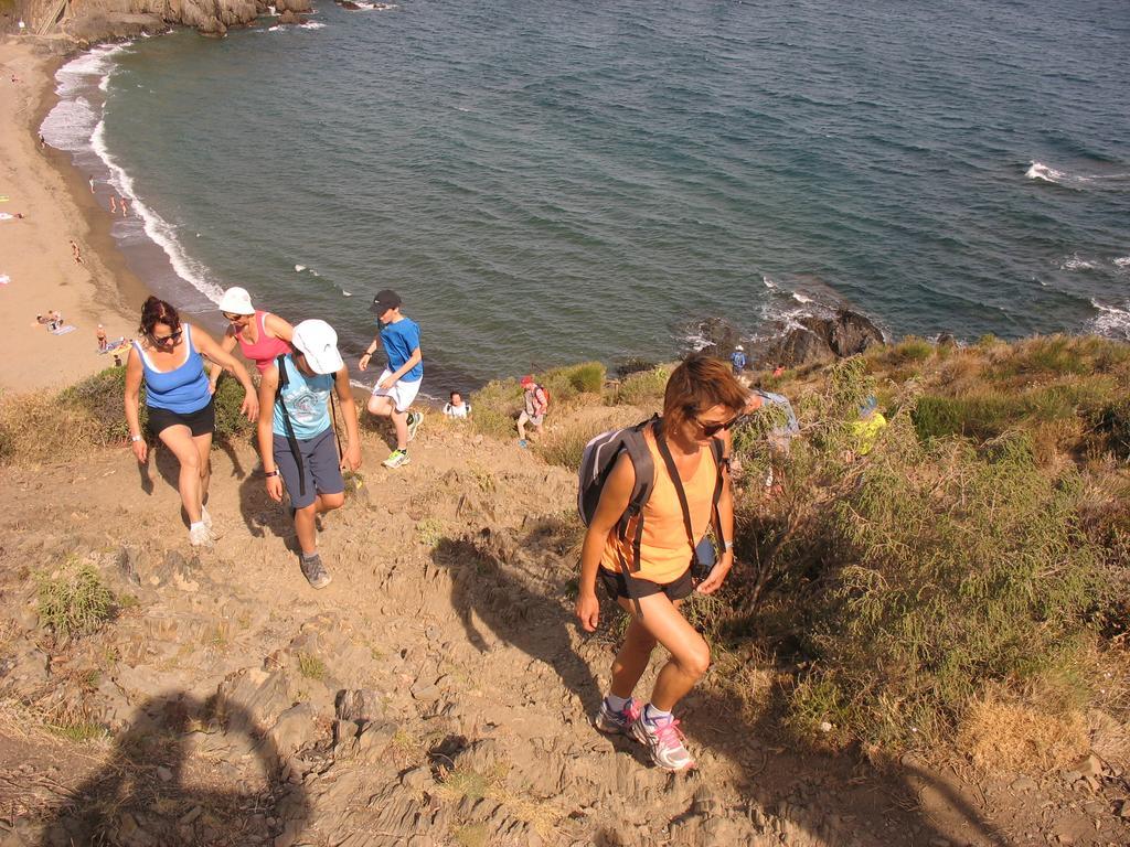 Camping Des Alberes Laroque-des-Albères Екстериор снимка