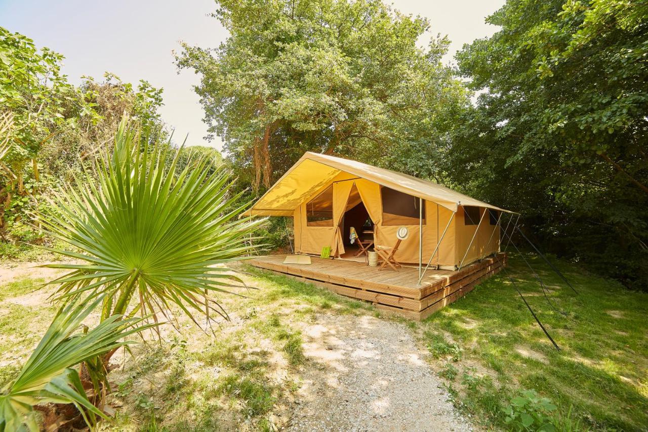 Camping Des Alberes Laroque-des-Albères Екстериор снимка